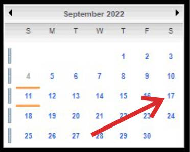 View Service by Date with details